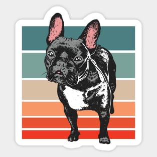 Vintage Black French Bulldog // Frenchie Dog Lover Sticker